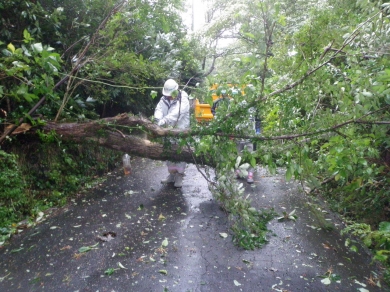 平成25年 台風災害(伊東市道)