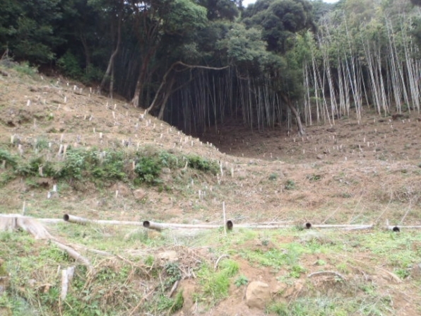 大幅値下げ!!1600坪超えの土地!!